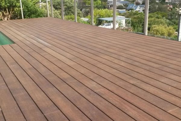 bamboo decking feature