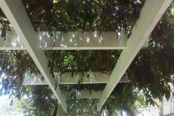 pergola_11 pergola 11